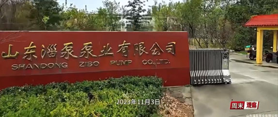 山東91视频入口泵業有限公司(sī)小微企業的國際化大誌向